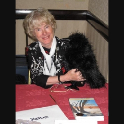 Welcome To My Bedroom Closet (laurel Anne Hill)