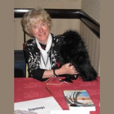 Welcome To My Bedroom Closet (laurel Anne Hill)