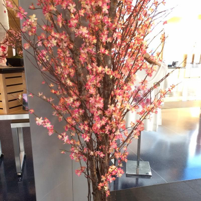 Da Middle Schools Posts