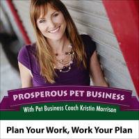 Episode 24. The Next 12 Months: Work Your Plan, Plan Your Work