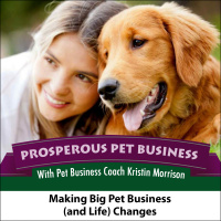 Episode 47. Making Big Pet Business (and Life) Changes
