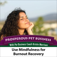Episode 116. Use Mindfulness to Recover from Burnout