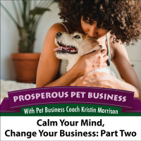 Episode 121. Calm Your Mind, Change Your Business, Part Two