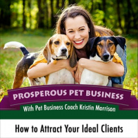 Episode #2: How To Attract Your Ideal Clients