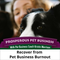 Bonus: Recover from Pet Business Burnout