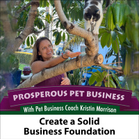 Episode 104. Create a Solid Business Foundation