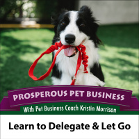 Episode 132. Learn to Delegate and Let Go