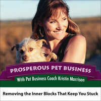 Episode 34. Removing the Inner Blocks that Keep You Stuck