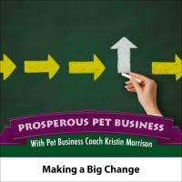 Episode 38. Making a Big Change