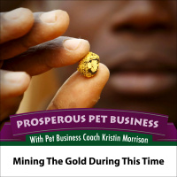 Episode 71. Mining the Gold During This Time