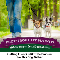 Episode 41. Getting Clients is NOT the Problem for This Dog Walker 