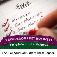 Episode 26. Focus on Your Goals, Watch Them Happen