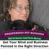 Episode 153: Get Your Mind and Business Pointed in the Right Direction