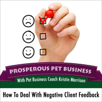 Episode #9: How to Deal With Negative Client Feedback