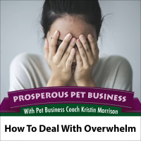 Episode 101. How to Deal with Overwhelm