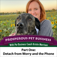Episode 131. Detach From Worry and the Phone