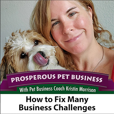 Prosperous Pet Business