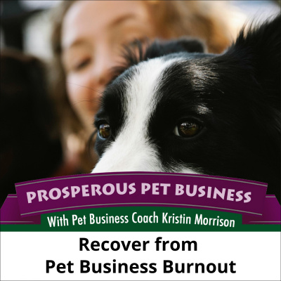 Prosperous Pet Business