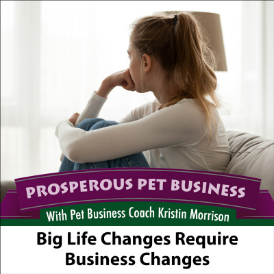 Prosperous Pet Business