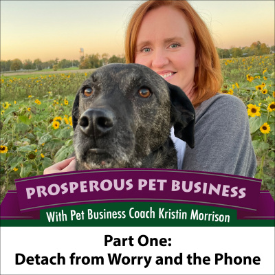 Prosperous Pet Business