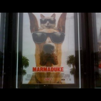 Marmaduke 