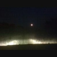 Green Corn Moon Yall