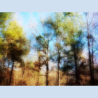 Content Repurposing Using Short Audios