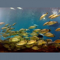 A Habit Worth Having