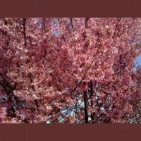 Are You Speaking Greek to Your Customers?