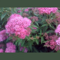 A Million Dollar Marketing Lesson (for Free)