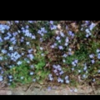 Your Business Mantra