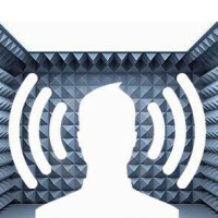 Boyd and Alans Echo Chamber