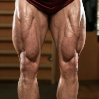 How Staunch Is Kolasinac