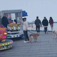 Spotted on Llandudno Pier