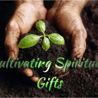 Cultivating Spiritual Gifts
