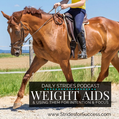 Daily Strides | Audio Horse Riding Lessons For Equestrians | Your Time Your Arena Your Horse | Horseback Riding Podcast