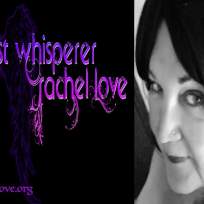 Love Predictions By Medium Rachel Love