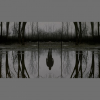 Episode 216-The Outsider, Episodes 1 and 2