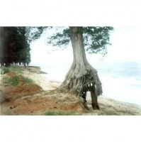 erosion happens in the mind