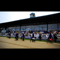 William Hill Springbok Final Preview: 3rd March