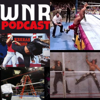 WNR137 WWE Superstar Profile Shawn Michaels