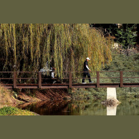 Weekly Golf Podcast: Tuesday 21 January