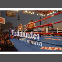 Fistianados Episode 69--Why the UFC has done so well since the pandemic