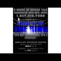 Leave it in the RinG - Recap of the Year 2013 - SC Luis Garcia