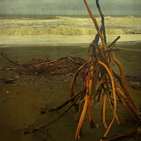 Contemplating The Title Of My Autobiography