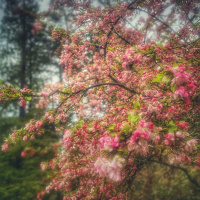 The Milk of Human Kindness