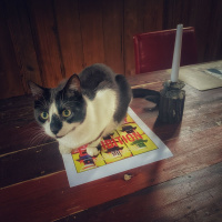 The Silence Of The Frogs/The Pixels At An Exhibition book