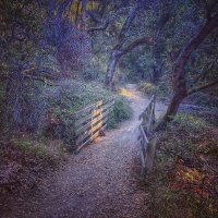 Trust Thyself—Every Heart Vibrates To That Iron Chord ~ Ralph Waldo Emerson