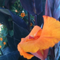 My list of what’s good about the USA