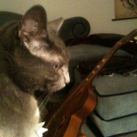 It’s a God eat God world